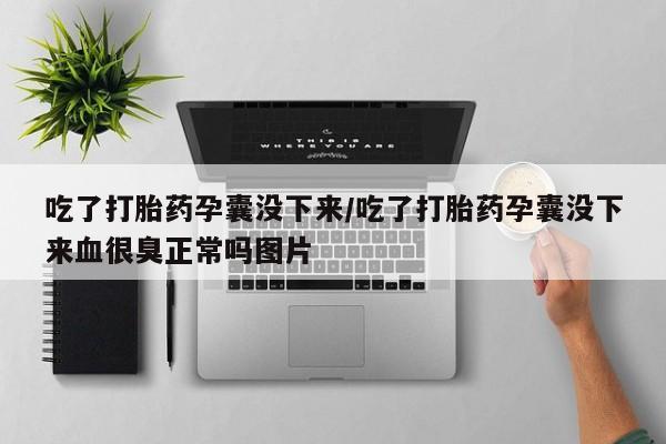打胎药购买微信保密发货1-2天直邮到家吃了打胎药孕囊没下来/吃了打胎药孕囊没下来血很臭正常吗图片